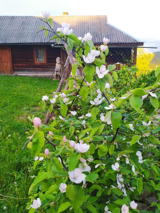 Starovitska Hata - Ethno-Cottage فيرخوفينا المظهر الخارجي الصورة