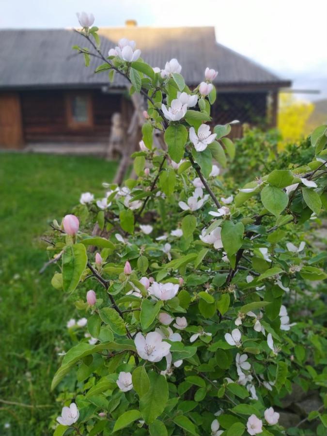 Starovitska Hata - Ethno-Cottage فيرخوفينا المظهر الخارجي الصورة