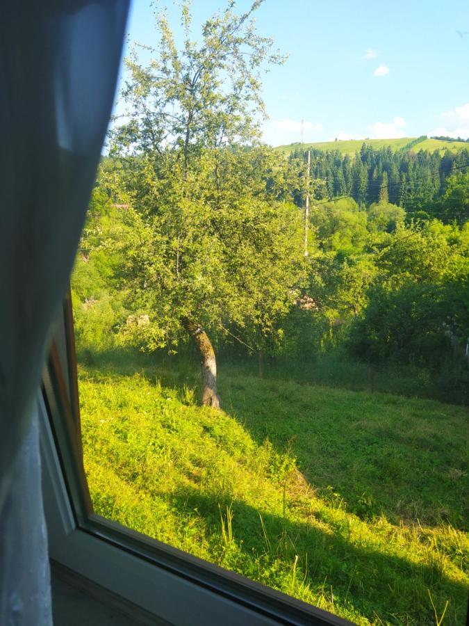 Starovitska Hata - Ethno-Cottage فيرخوفينا المظهر الخارجي الصورة