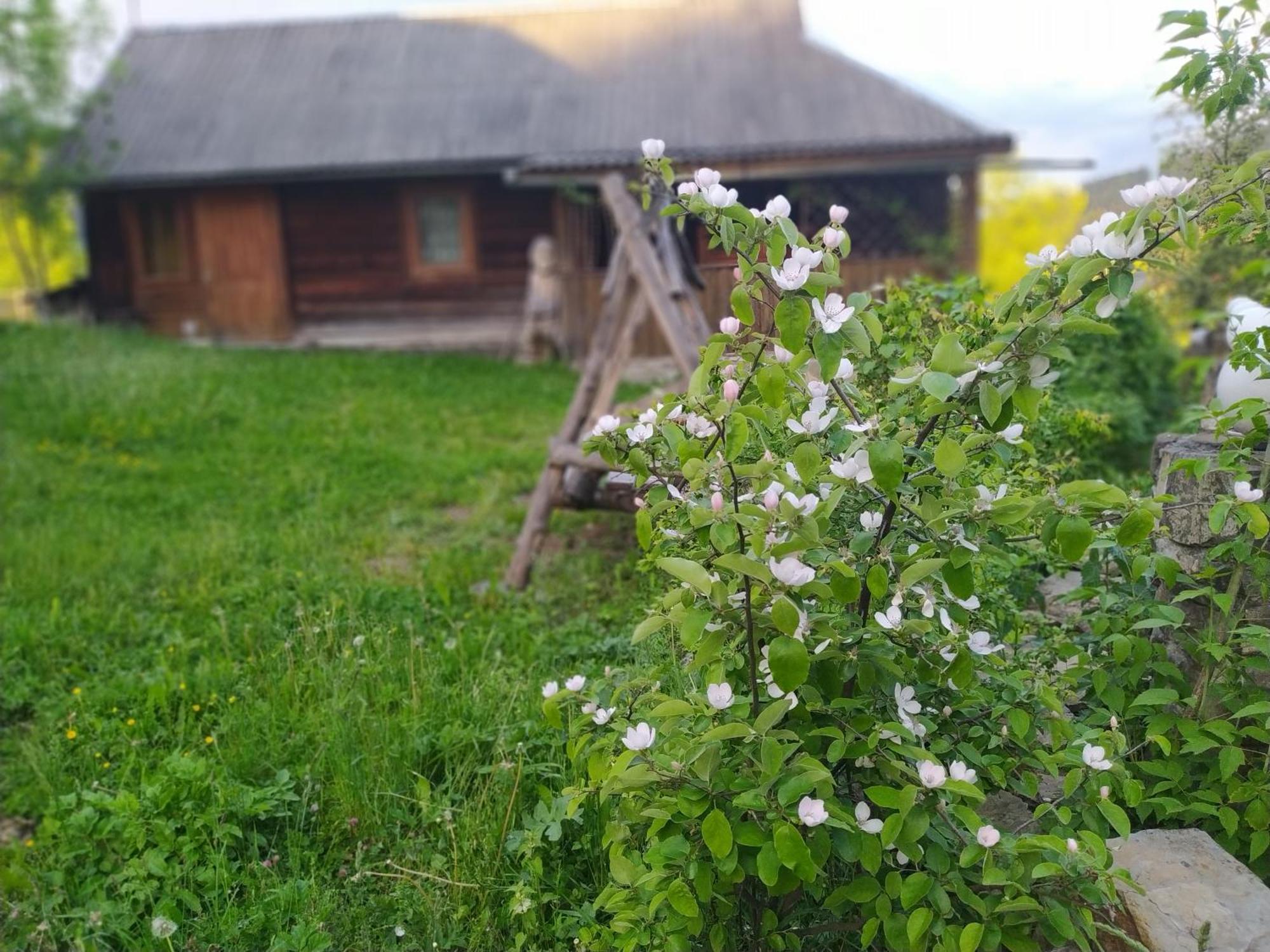 Starovitska Hata - Ethno-Cottage فيرخوفينا المظهر الخارجي الصورة