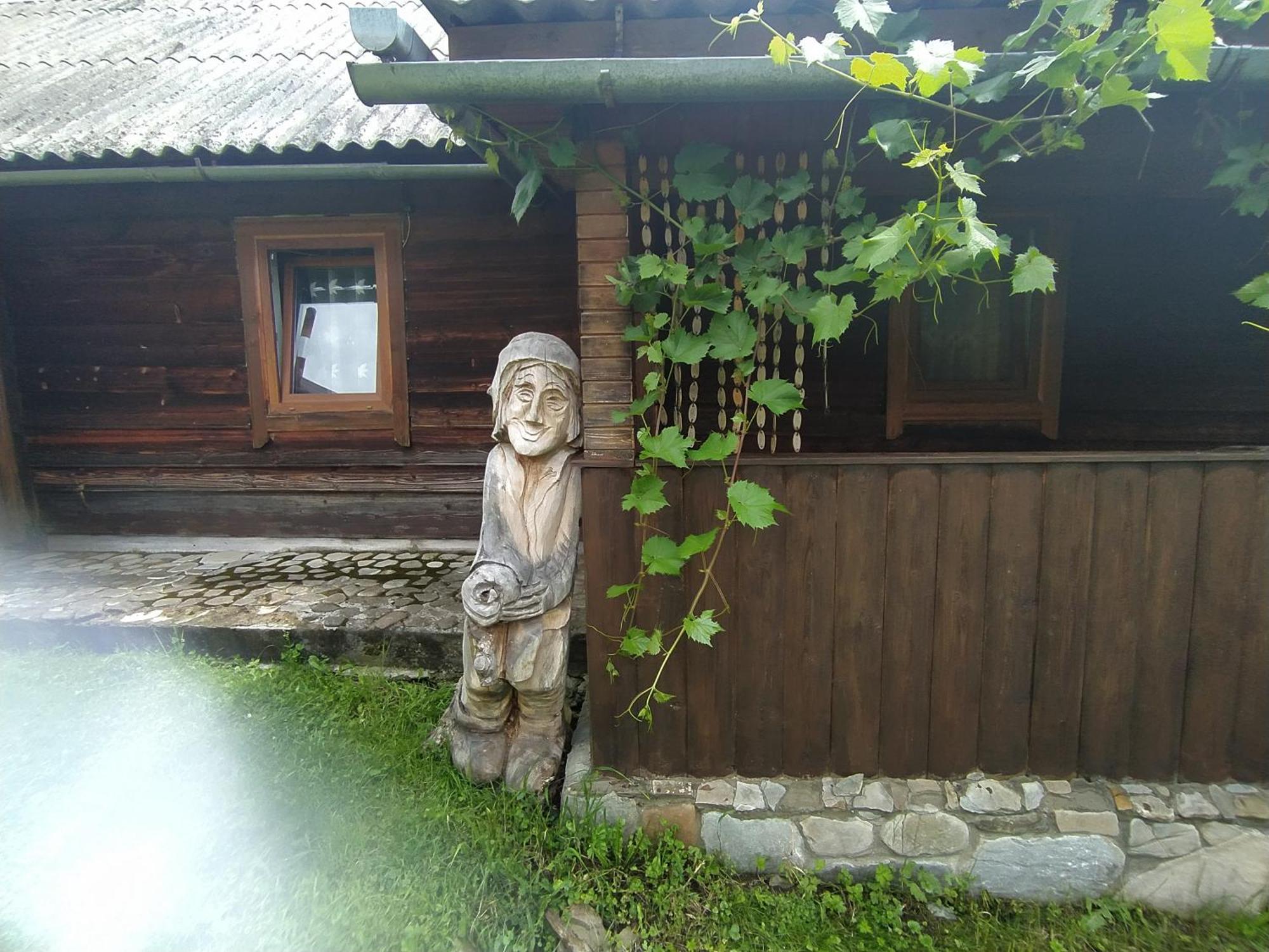 Starovitska Hata - Ethno-Cottage فيرخوفينا المظهر الخارجي الصورة