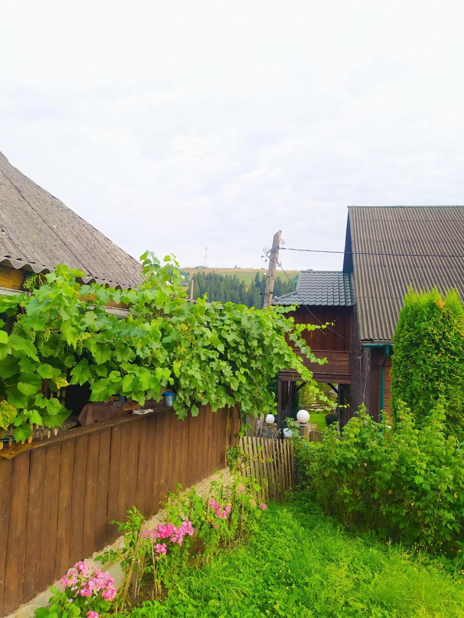 Starovitska Hata - Ethno-Cottage فيرخوفينا المظهر الخارجي الصورة