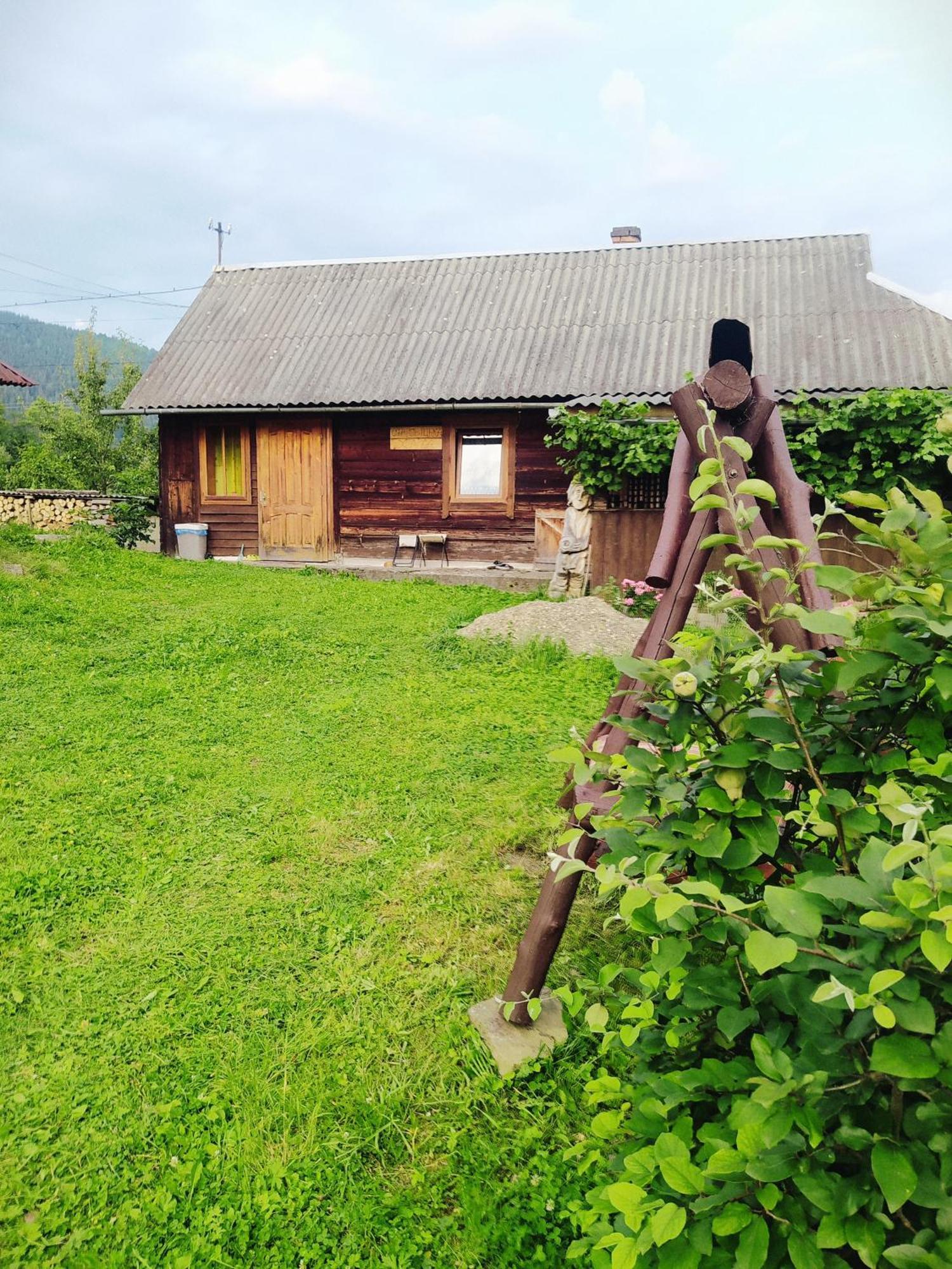 Starovitska Hata - Ethno-Cottage فيرخوفينا المظهر الخارجي الصورة