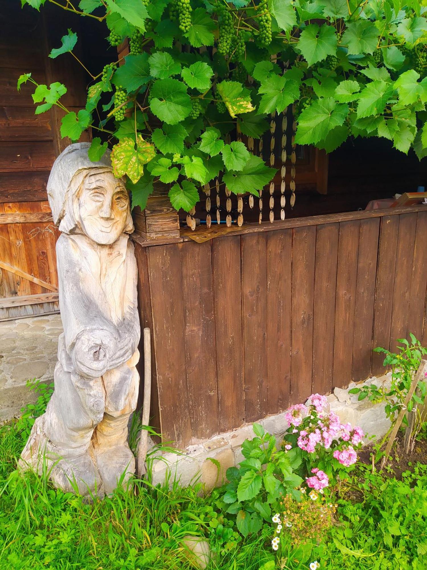 Starovitska Hata - Ethno-Cottage فيرخوفينا المظهر الخارجي الصورة