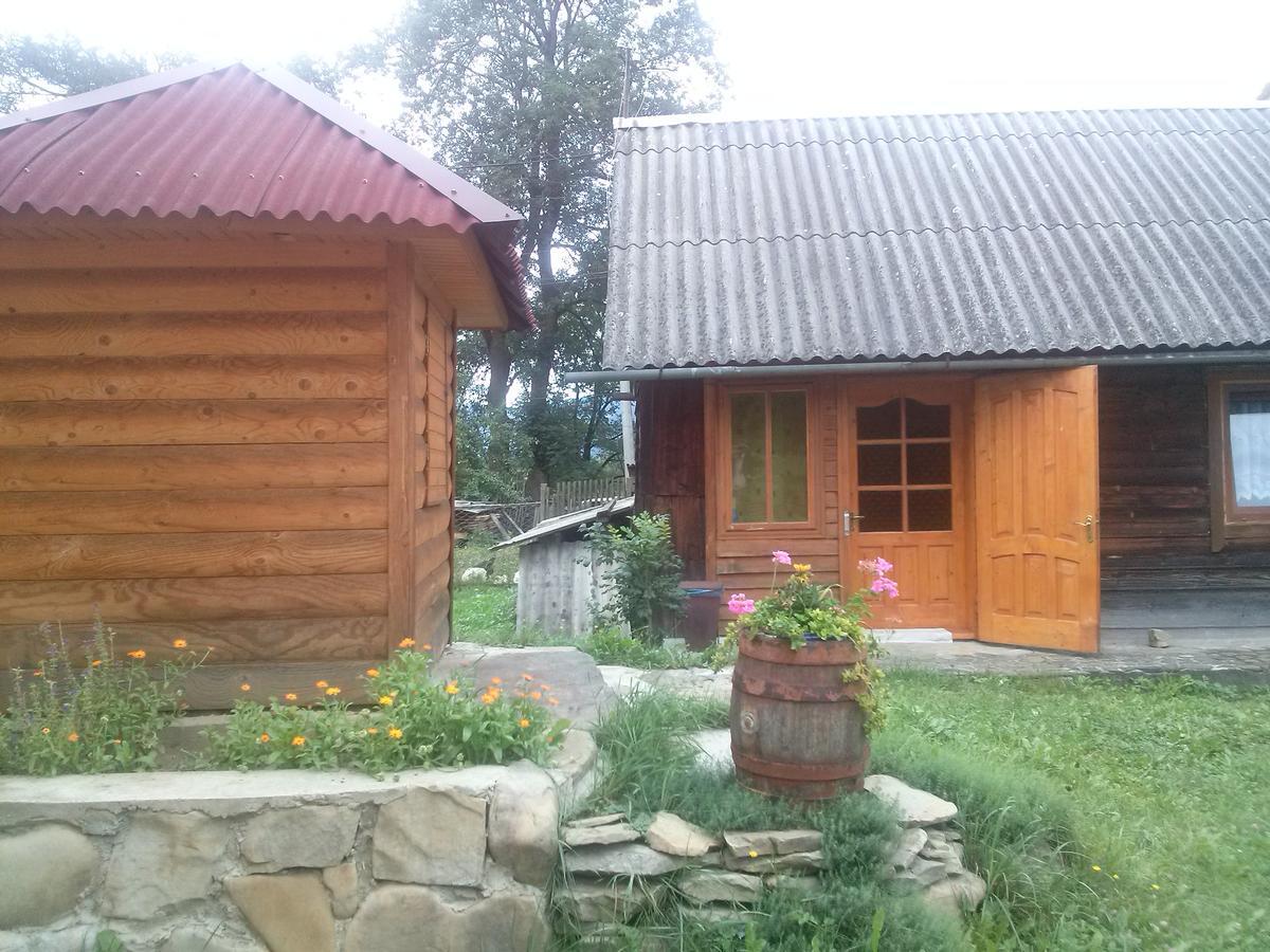 Starovitska Hata - Ethno-Cottage فيرخوفينا المظهر الخارجي الصورة