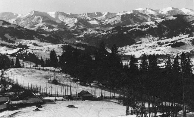 Starovitska Hata - Ethno-Cottage فيرخوفينا المظهر الخارجي الصورة